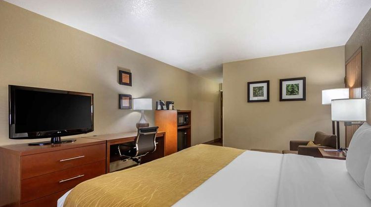 Comfort Inn & Suites Springfield I-44 Room