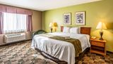 Quality Inn and Suites Hannibal West Room