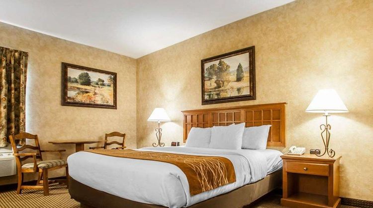 Comfort Inn Room