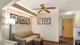 <b>Comfort Inn & Suites Lees Summit Suite</b>. Images powered by <a href="https://iceportal.shijigroup.com/" title="IcePortal" target="_blank">IcePortal</a>.