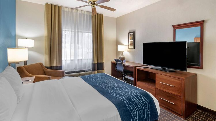 Comfort Inn & Suites Lees Summit Room