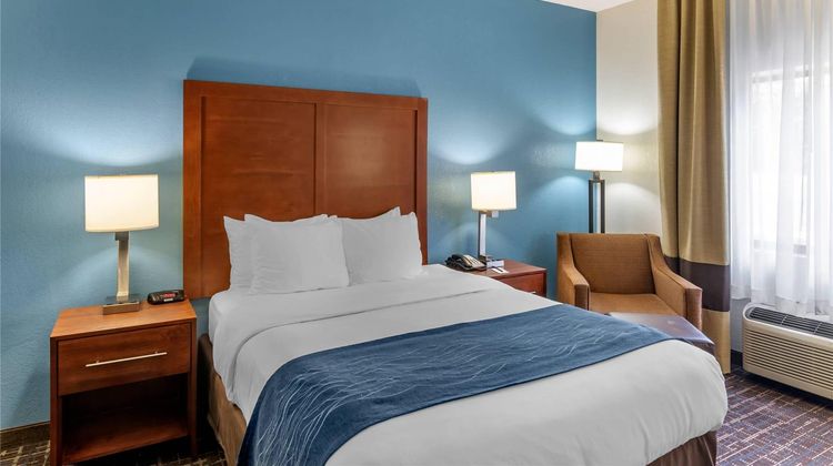 Comfort Inn & Suites Lees Summit Room