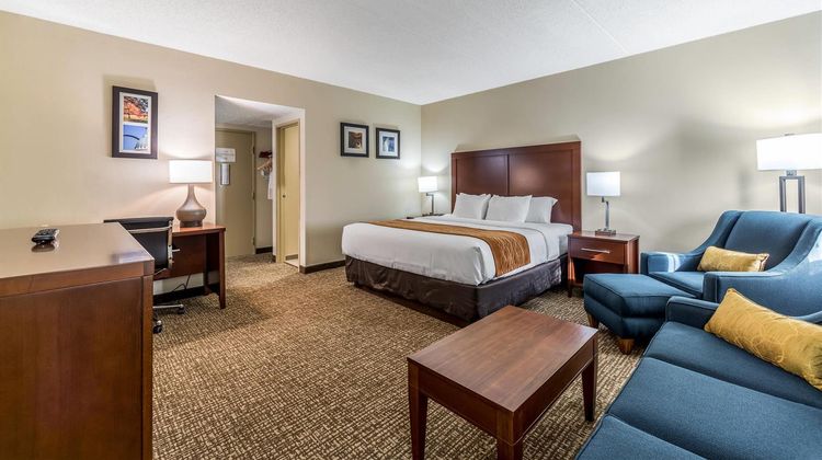 Comfort Inn Festus Suite