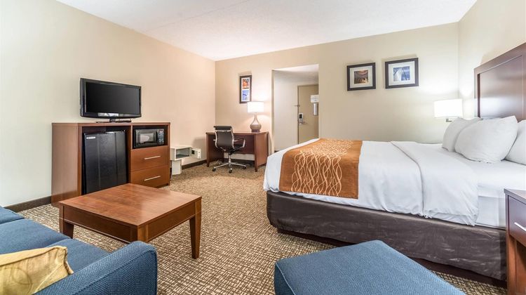 Comfort Inn Festus Suite