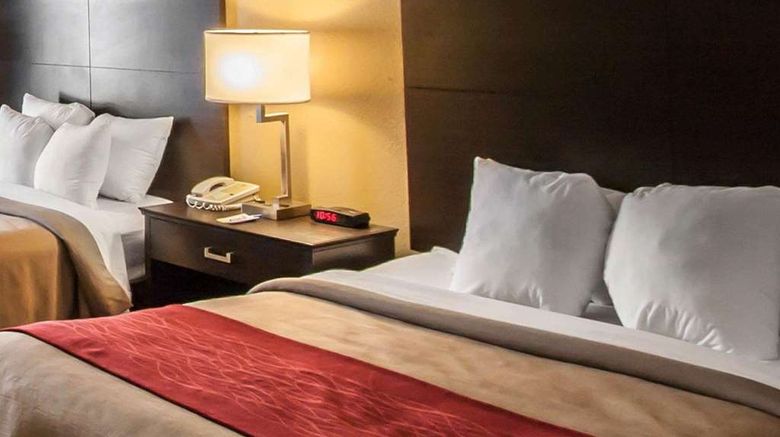 <b>Quality Inn Hayti Room</b>. Images powered by <a href="https://iceportal.shijigroup.com/" title="IcePortal" target="_blank">IcePortal</a>.