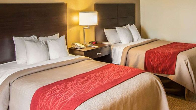 <b>Quality Inn Hayti Room</b>. Images powered by <a href="https://iceportal.shijigroup.com/" title="IcePortal" target="_blank">IcePortal</a>.