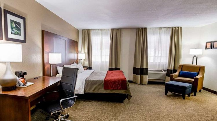 Comfort Inn Suite