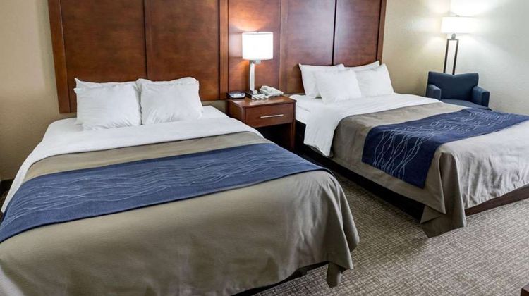 Comfort Inn Room