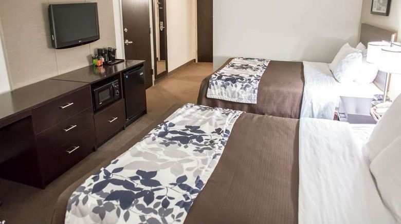 <b>Sleep Inn & Suites Liberty Room</b>. Images powered by <a href="https://iceportal.shijigroup.com/" title="IcePortal" target="_blank">IcePortal</a>.