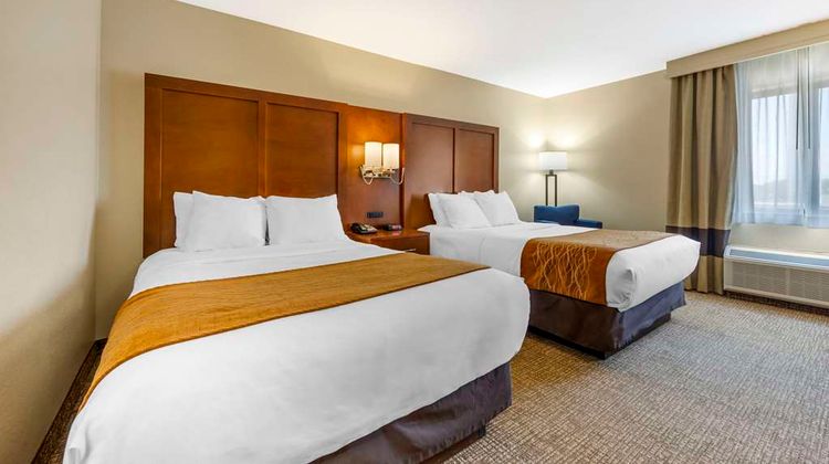 Comfort Inn South-Springfield Room