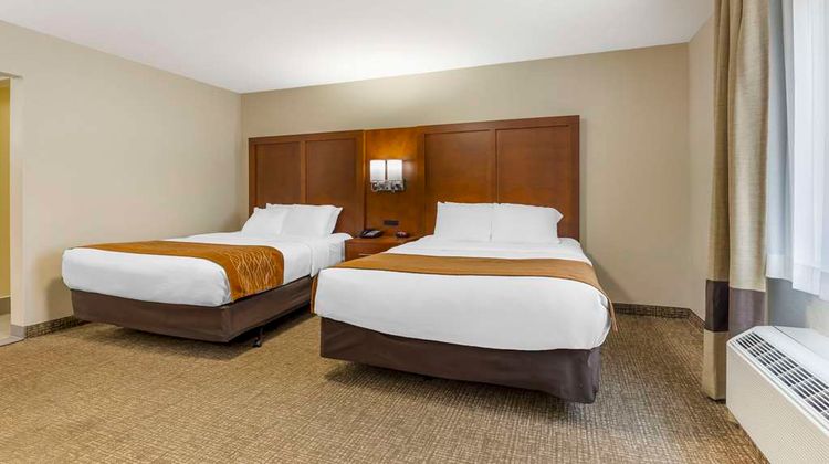 Comfort Inn South-Springfield Suite