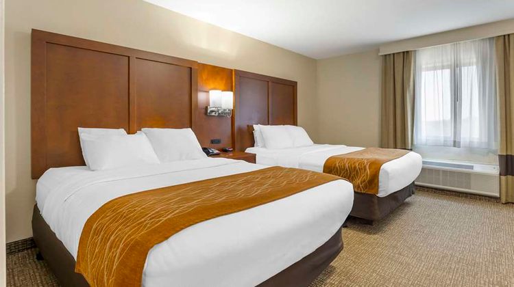 Comfort Inn South-Springfield Suite