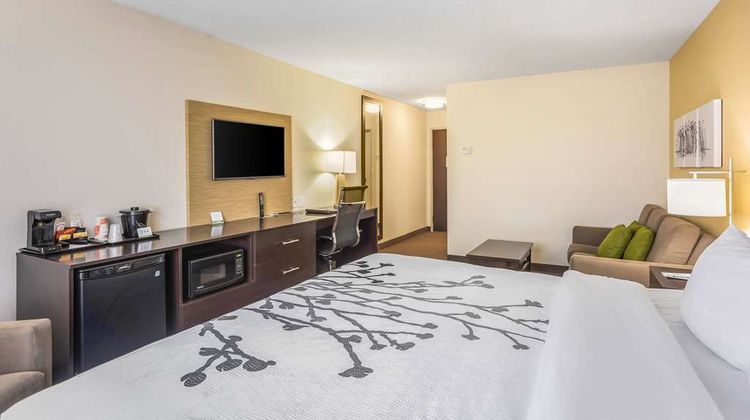 Sleep Inn & Suites Hannibal Suite