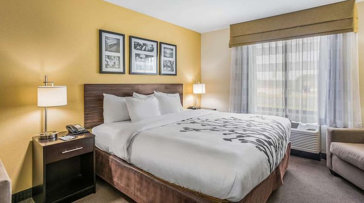 Sleep Inn & Suites Hannibal Suite