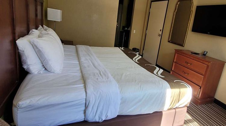 Quality Inn and Suites Room