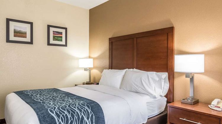 Comfort Inn & Suites Hannibal Room
