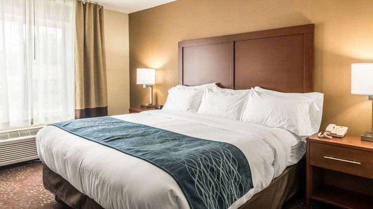 Comfort Inn & Suites Hannibal Suite