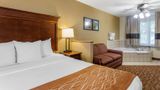 <b>Comfort Inn & Suites Branson Meadows Suite</b>. Images powered by <a href="https://iceportal.shijigroup.com/" title="IcePortal" target="_blank">IcePortal</a>.