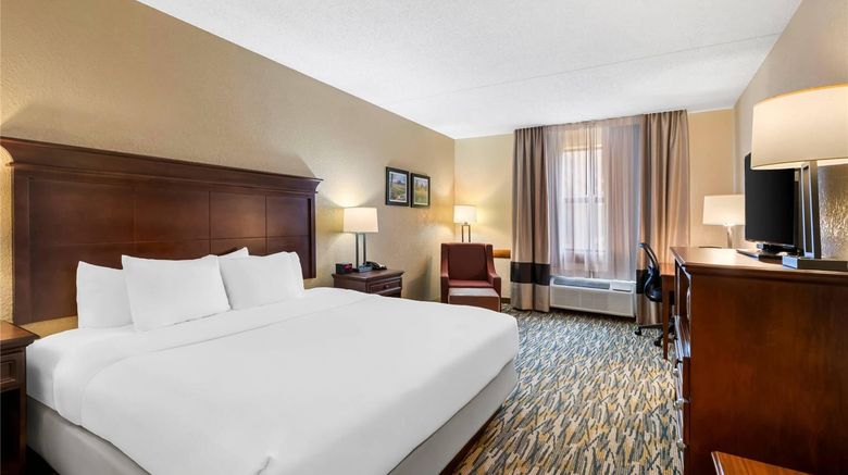 <b>Comfort Inn & Suites Branson Meadows Room</b>. Images powered by <a href="https://iceportal.shijigroup.com/" title="IcePortal" target="_blank">IcePortal</a>.