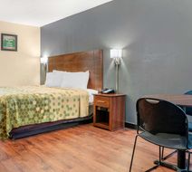 Econo Lodge Inn and Suites Forest Room