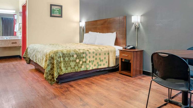 Econo Lodge Inn and Suites Forest Room