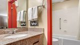 Econo Lodge Inn and Suites Forest Room