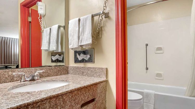 Econo Lodge Inn and Suites Forest Room