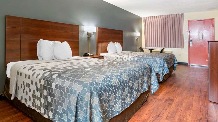 Econo Lodge Inn and Suites Forest Room