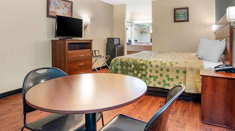 Econo Lodge Inn and Suites Forest Room