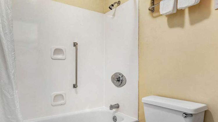 Econo Lodge Inn and Suites Forest Suite