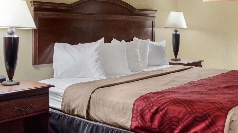 <b>Econo Lodge Greenville Room</b>. Images powered by <a href="https://iceportal.shijigroup.com/" title="IcePortal" target="_blank">IcePortal</a>.