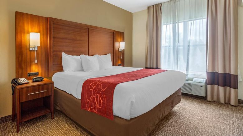 <b>Comfort Suites Southaven - Memphis South Suite</b>. Images powered by <a href="https://iceportal.shijigroup.com/" title="IcePortal" target="_blank">IcePortal</a>.