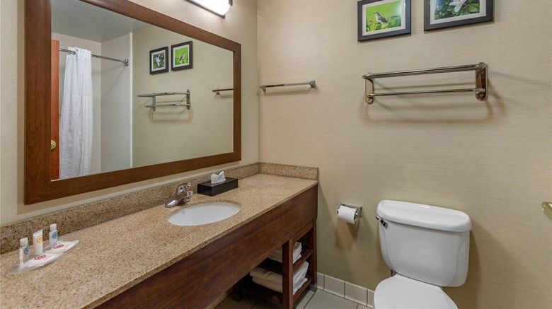 <b>Comfort Suites Southaven - Memphis South Suite</b>. Images powered by <a href="https://iceportal.shijigroup.com/" title="IcePortal" target="_blank">IcePortal</a>.