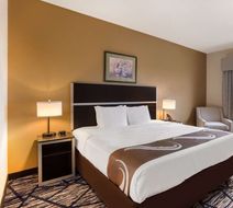 Quality Inn & Suites Jackson Airport Room