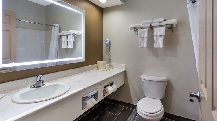 Quality Inn & Suites Jackson Airport Room
