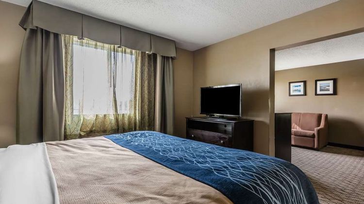 Comfort Inn/Stes Crystal Inn Sportsplex Suite