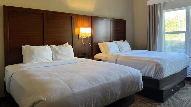 Comfort Suites Room