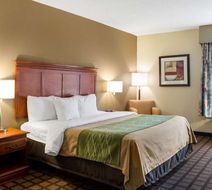 Quality Inn Cleveland Room