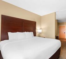Comfort Suites Gulfport Central Room