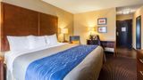 Comfort Inn Tupelo Central Room