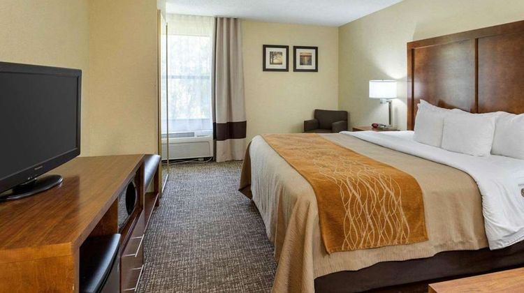 Quality Inn Olive Branch Room