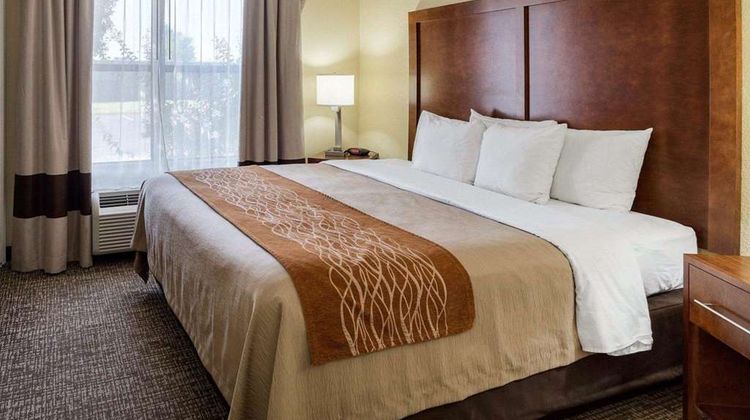 Quality Inn Olive Branch Room