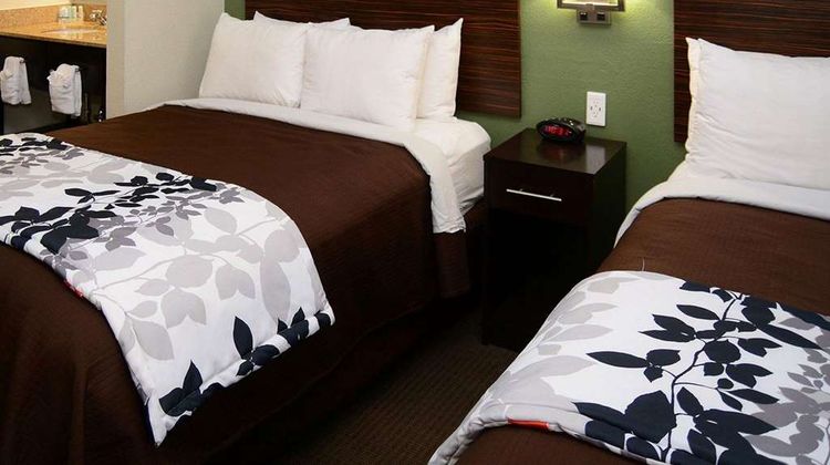 Sleep Inn Room