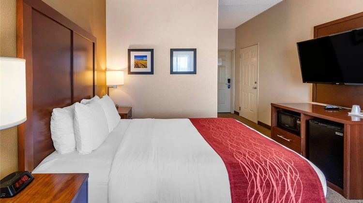 Comfort Inn Great Falls South Room