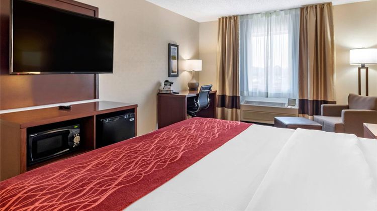 Comfort Inn Great Falls South Room