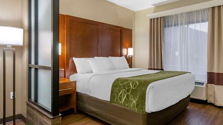 Comfort Suites Airport Helena Suite