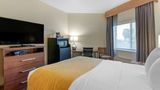 Comfort Inn & Suites Great Falls Room