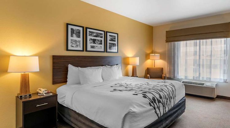 Sleep Inn & Suites Miles City Room