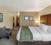 Comfort Inn Missoula near University Room