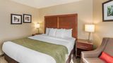 Comfort Inn Missoula near University Suite